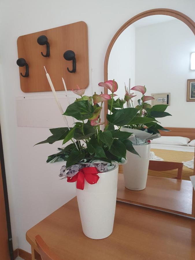Hotel Venezia San Mauro Mare Extérieur photo